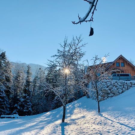 Apartament Bergheimat Bad Goisern Zewnętrze zdjęcie