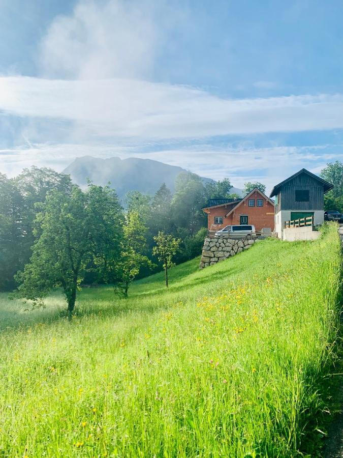 Apartament Bergheimat Bad Goisern Zewnętrze zdjęcie