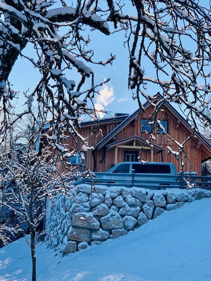 Apartament Bergheimat Bad Goisern Zewnętrze zdjęcie