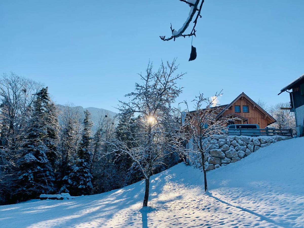Apartament Bergheimat Bad Goisern Zewnętrze zdjęcie